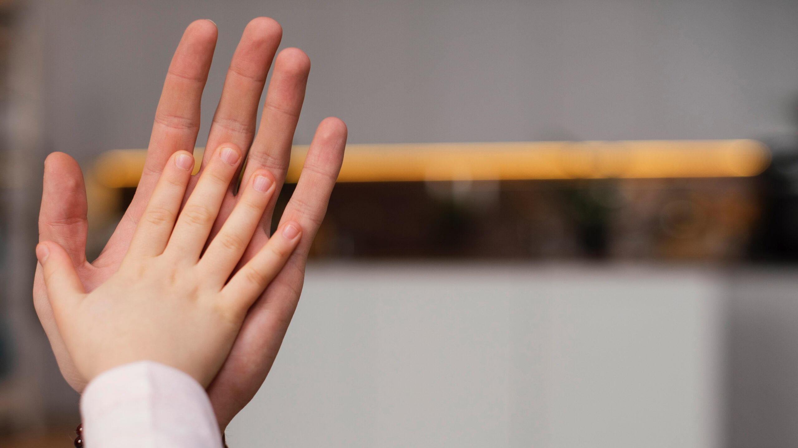 Child Custody & Support